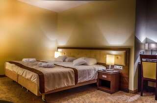 Отель Hotel Czardasz Spa & Wellness Плоцк Двухместный номер «Комфорт» с 1 кроватью или 2 отдельными кроватями-1